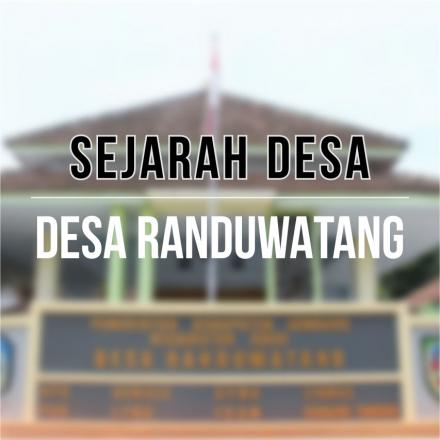 Sejarah Desa
